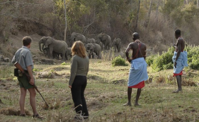 Cedarberg Travel | Kenya's Ancient North Walking Safari